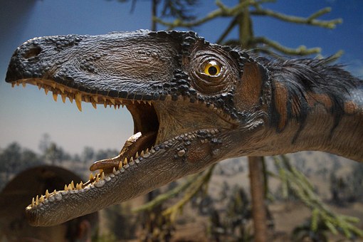 Best Museums exhibits dinosaur
